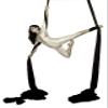 F.Life Aerial Silks 13 Yards Hardware Kit Medium Stretch Aerial Yoga Hammock Acrobatics - Swivel 360 Spin Equipment Height Adjustment Strap, Portable Storage (Black) view 1