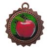 10 PK of Scholastic Apple Bronze Medals Trophy Award with Neck Ribbons D03-FCL403 view 1