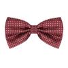 Allegra K Men's Polka Dots Pre-Tied Bowknot Bow Ties Work Formal Party Tuxedo Bowties One Size Red White view 1