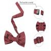 Allegra K Men's Polka Dots Pre-Tied Bowknot Bow Ties Work Formal Party Tuxedo Bowties One Size Red White view 3