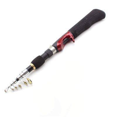 H/A ZYHYD New 1.65m Telescopic rotatable Rotating Carbon cast Casting Fishing Rod ice Fishing Rod sea Rod ZYHYD (Size : Spinning Rod)