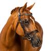 Flexible Fit Equestrian Havana Snaffle Bridle 'Sydney' Oversize view 1