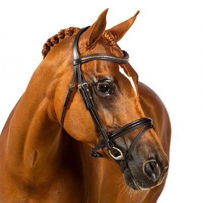 Flexible Fit Equestrian Havana Snaffle Bridle 'Sydney' Pony