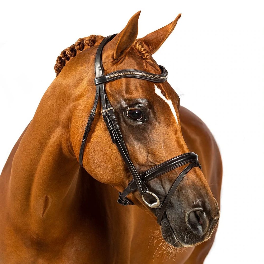 Flexible Fit Equestrian Havana Snaffle Bridle 'Sydney' Pony