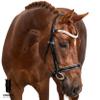 Flexible Fit Equestrian Black Snaffle Bridle 'Reba' Cob view 2