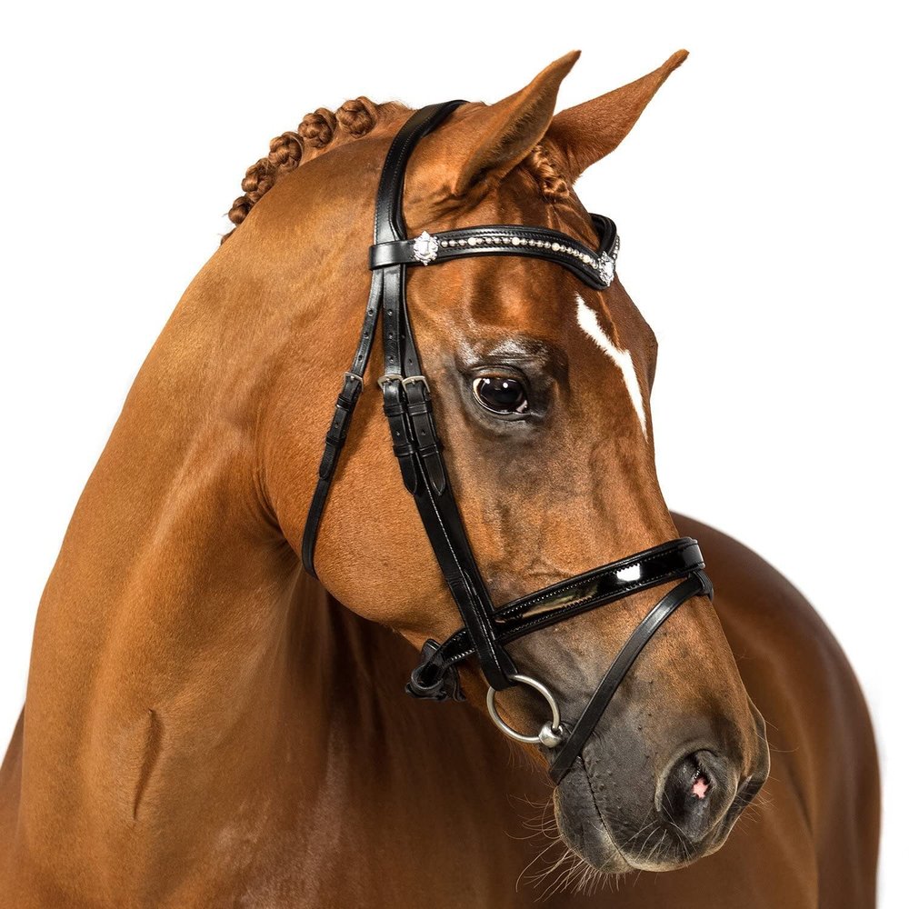 Flexible Fit Equestrian Black Snaffle Bridle 'Quarantina' Cob