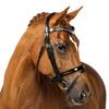 Flexible Fit Equestrian Black Snaffle Bridle 'Quarantina' Cob view 1