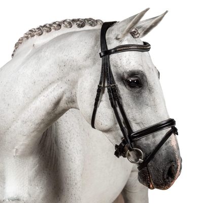 Flexible Fit Equestrian Black Snaffle Bridle 'Dene' Cob