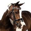 Flexible Fit Equestrian Black Snaffle Bridle 'Presley' Over Size view 1