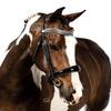 Flexible Fit Equestrian Black Snaffle Bridle 'Presley' Over Size view 2