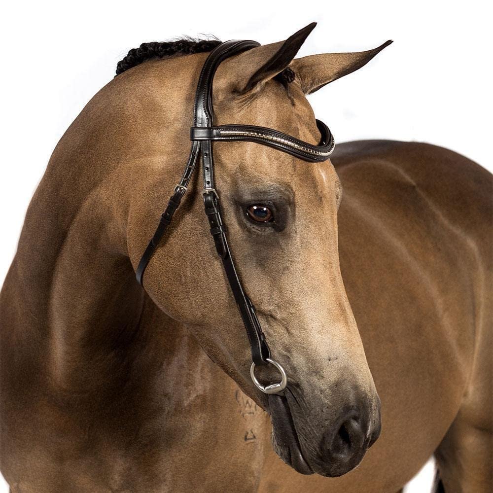 Flexible Fit Equestrian Havana Nosebandless Snaffle Bridle 'Kalene' Over Size
