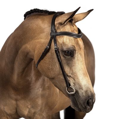 Flexible Fit Equestrian Havana Nosebandless Snaffle Bridle 'Teanna' Over Size