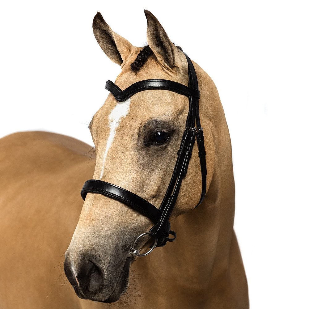 Flexible Fit Equestrian Black Snaffle Bridle 'Riley' Cob