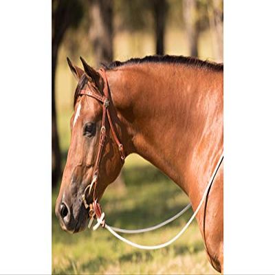 Downunder Horsemanship Performance Horse Loop Reins (White)