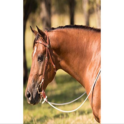 Downunder Horsemanship Performance Horse Loop Reins (White)