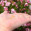 1 Pair Adabele Real 18K Yellow Gold Plated 925 Sterling Silver Hypoallergenic Stud Earrings Dainty Small Tiny Triangle Delta Ear Studs for Women Birthday Gift SSE91-2 view 3