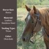 Circle Y Bronco Blue Texas Flower Durable Leather 5/8" Browband Headstall with Standard Cheek Style, Tie Bit Ends & Adjustable Length | Western Horse Tack for Riding & Shows, Chocolate, One Size view 2