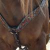 Circle Y Bronco Blue Texas Flower Durable Leather Breast Collar with Contour-Tapered Design & Hand-Tooled Floral Filigree | Western Tack for Horse Riding, Shows & Equestrian Sport, Chocolate, One Size view 4