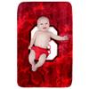 College Covers Everything Comfy NC State Wolfpack Color Swept Soft Throw Blanket, 30" x 40" view 3