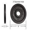 10 Pound Olympic Weight Plate Pair by Deltech Fitness view 2