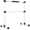 GOFLAME Ballet Barre Portable Double, 4FT Freestanding Ballet Barre Adjustable, Heavy Duty Dancing Stretching Ballet Bar for Home, Dance Barre, Fitness Ballet Bar (Silver) view 1