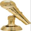 10" Microphone Trophies - Gold - Microphone Trophy Award - Custom Engraving On White Marble Base - 10 Pack Prime view 2