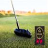 (2 Black) Peter Putter Professional Golf Putter | Premium Aluminum Head with Chrome Stepless Shaft | Stiff Flex Graphite Construction | Ergonomic Rubber Grip (2 Black) view 3