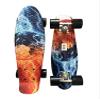 Skateboard Complete 22 inch Cruiser for Kids Youth Beginners Plastic Retro Style PU Wheels (Earth) view 2