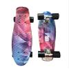 Waveline Skate Skateboard Complete 22 inch Cruiser for Kids Youth Beginners Plastic Retro Style PU Wheels (Fractal) view 2
