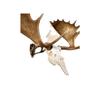 Skull Hooker Big Hooker Powder-Coated Steel Short Arm Trophy Mount - Perfect for Hanging and Mounting Larger Species - Bison, Cape Buffalo and Smaller Elk, Robust Brown view 3