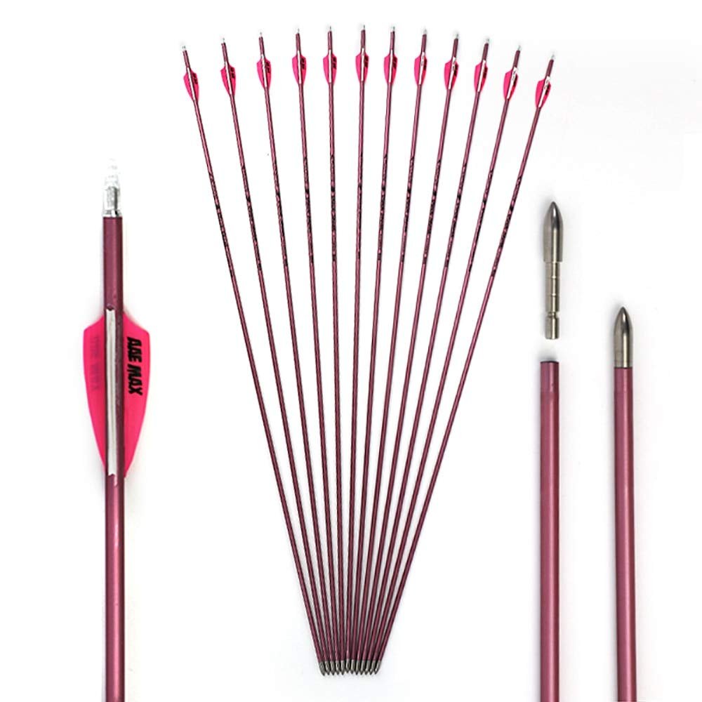 600 Spine Arrow 25 Inch Arrow Target Practice Arrow Hunting Arrow Carbon Arrows Compound Bow Recurve Bow Adult Youth Archery Indoor Outdoor Shooting Bullet Tip