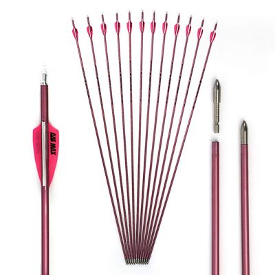 500 Spine Arrow 25 Inch Arrow Target Practice Arrow Hunting Arrow Carbon Arrows Compound Bow Recurve Bow Adult Youth Archery Indoor Outdoor Shooting Bullet Tip