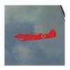 P-40 Warhawk with Noseart Pilot Side Vinyl Sticker Decal by KLO Graphics WWII Warbird Army Air Force Veteran view 1