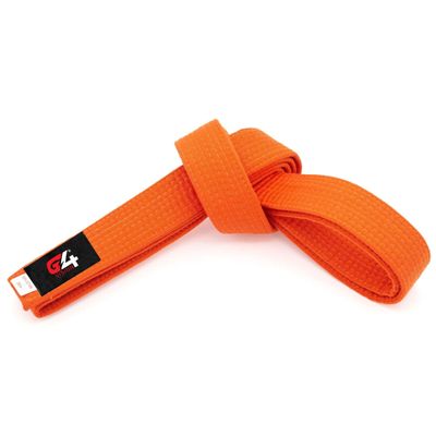 G4 VISION Black Karate Belts Martial Arts Uniform Ranking Taekwondo Karate Judo BJJ Colored Ranking Belt Aikido Kempo Sports for All Purpose