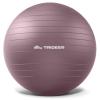 Trideer Exercise Ball Yoga Ball  Office Seating & Balance Ball Chair, Stability Ball for Pilates, Physical Therapy,Core Training & Balance Improvement & Stretching view 1