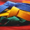 G4 VISION Karate Belt Wide Double Wrap Martial Arts All Solid Color Belts Judo Hapkido (280Cm, Purple) view 4