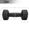 Philosophy Gym Neoprene Dumbbell Hexagon Hand Weights, 10 lb Pair - 20 lb Total view 4
