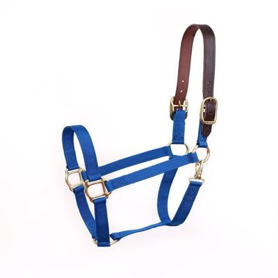 Perris Economy Safety Halter Mini B Royal Blue