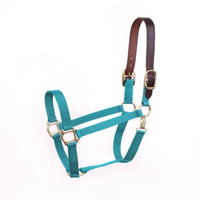 Perris Economy Safety Halter Cob Turquoise