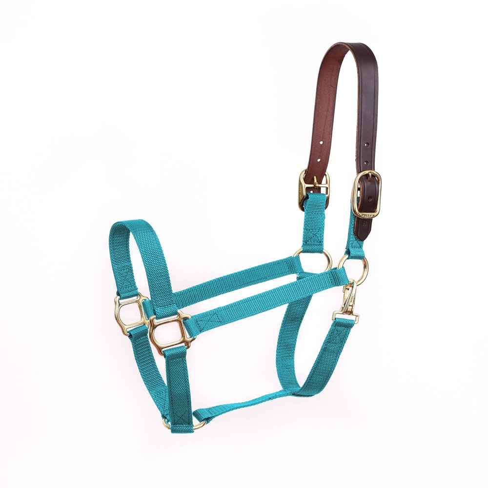 Perris Economy Safety Halter Cob Turquoise