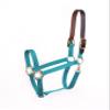 Perris Economy Safety Halter Cob Turquoise view 1