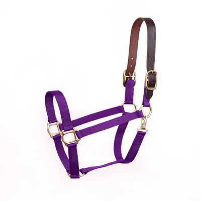 Perris Economy Safety Halter Pony Purple