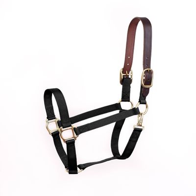 Perris Economy Safety Halter Mini B Black