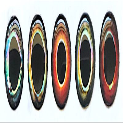 Brule 3-D Epoxy Fish Eyes (Combo4, 20mm)