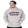 Blue 84 Men's Auburn Tigers Hoodie Arched Grey, Grey, Small view 2