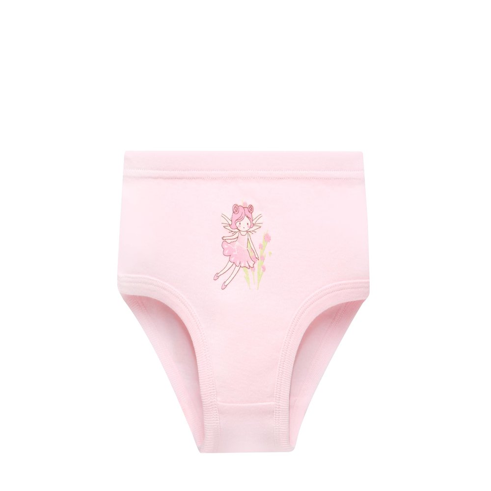 NEIYISHE Girls' Cotton Brief Breathable Toddler Panties Kids Assorted Underwears 6-piece set (4T, Bssorted B22)