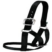 DaretoCare 35-8003-BK 1 in. Cow Barn Halter - Small44; Black