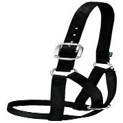 DaretoCare 35-8003-BK 1 in. Cow Barn Halter - Small44; Black