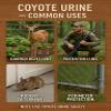 Fox Peak Outdoor Supply Coyote Urine 100% Pure Quality Coyote Urine (16 oz.) view 2