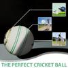 Bt cricket ball expert White 156g Cricket Balls 4piece Balls Pack of 6 Balls Genuine Leather ,Excellent Quality view 2